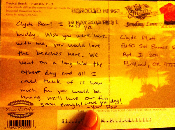 Tony's Post Card